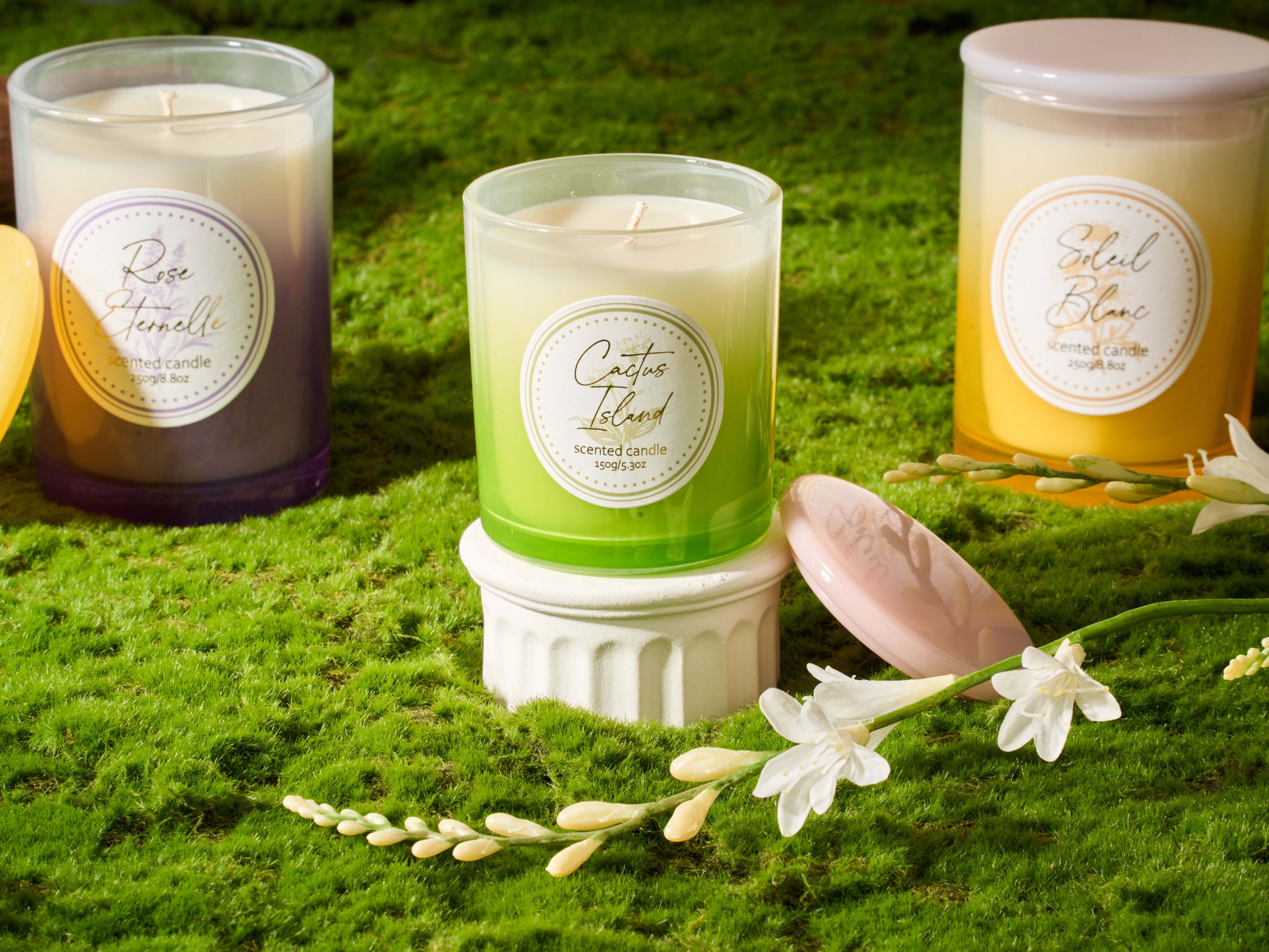 Colección Wild Garden